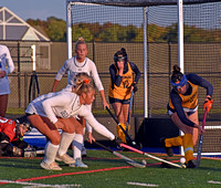 DSC_6143 copy